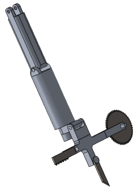 arm